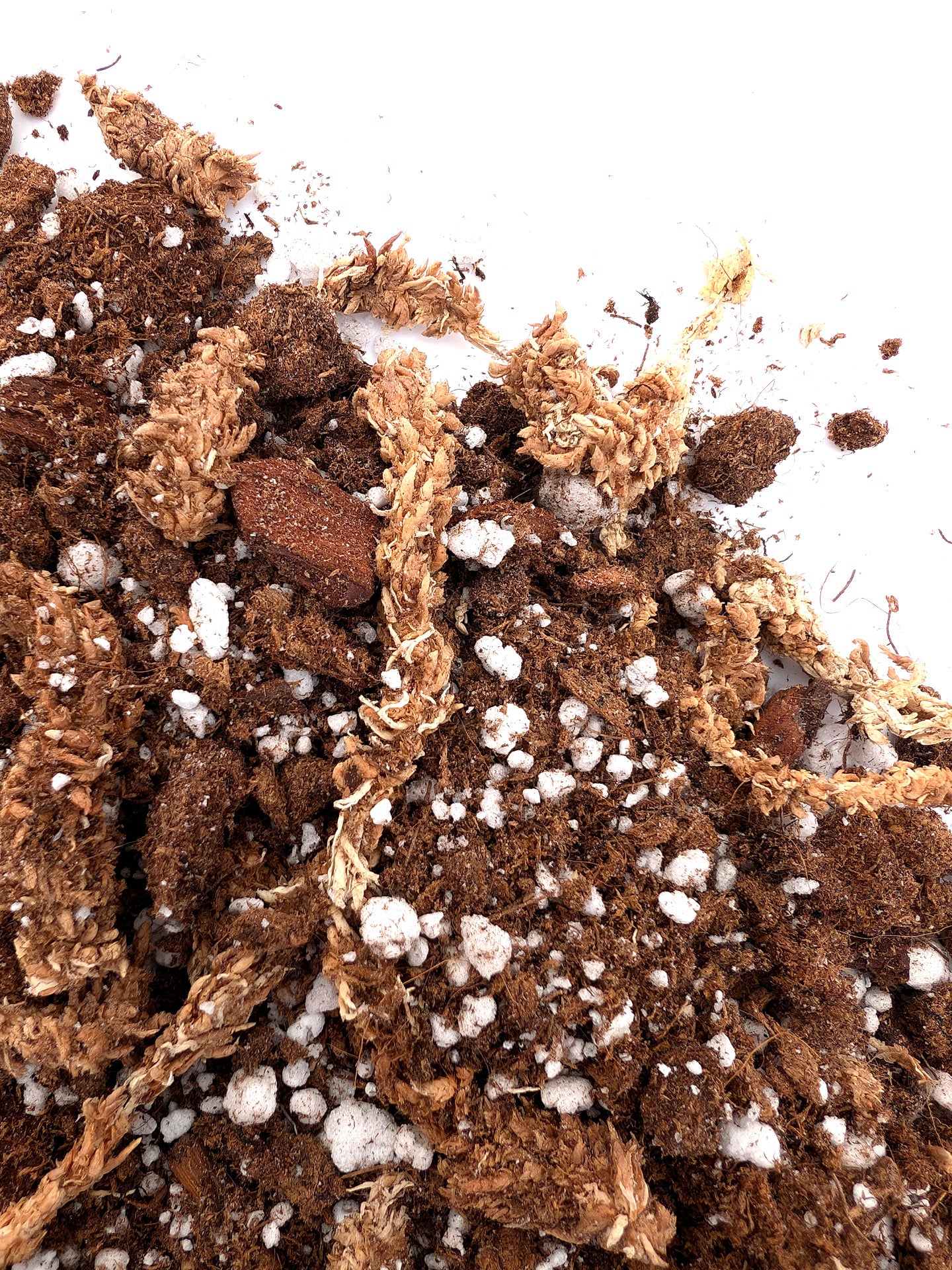 Terriccio specifico per Nepenthes ed Orchidee terricole