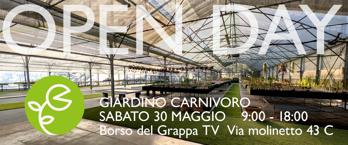 Slide immagine
