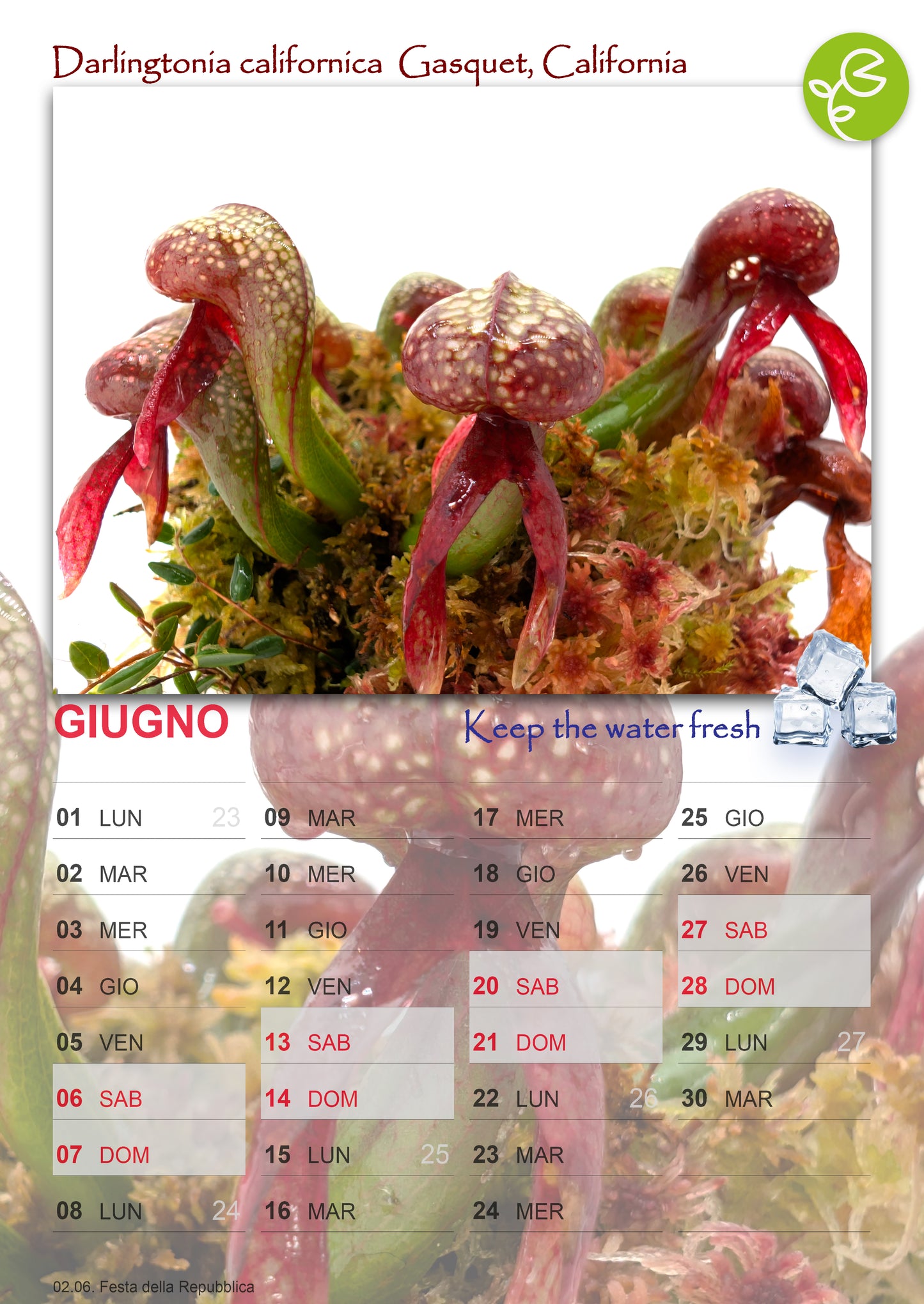 EXTRA CALENDARIO GIARDINO CARNIVORO 2026
