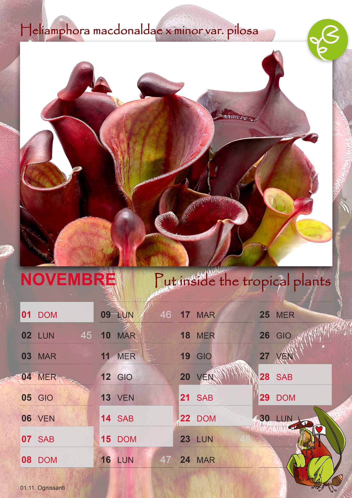 2026 GIARDINO CARNIVORO CALENDAR