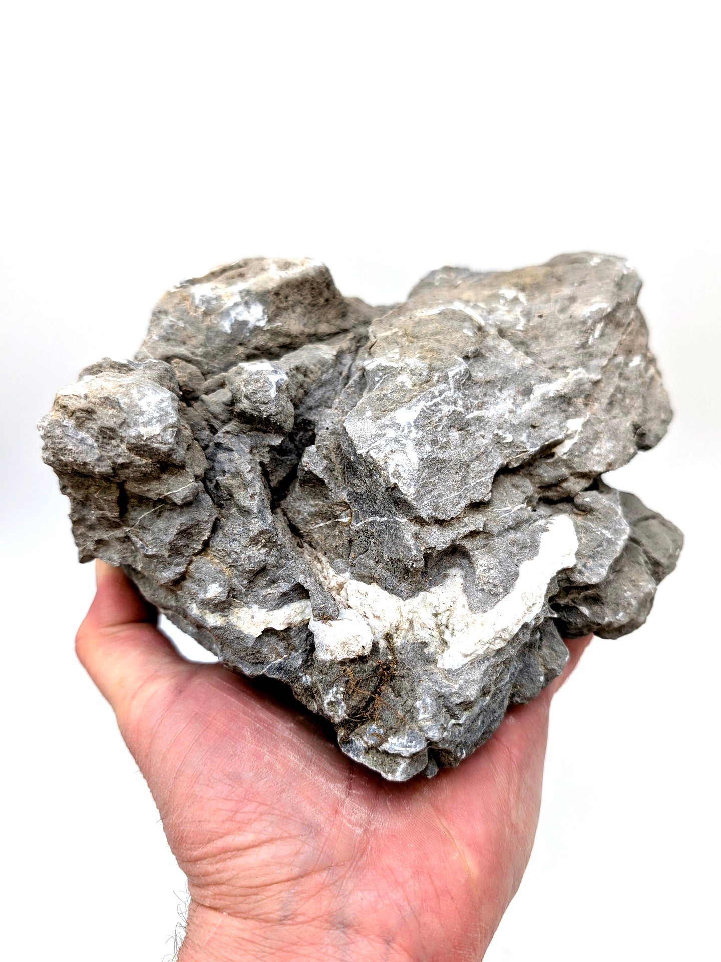 Roccia Calcarea Grigia e Bianca