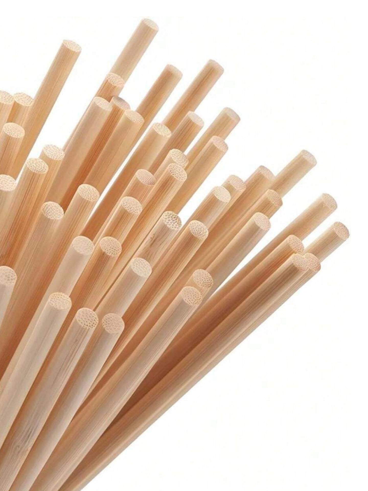 Tutori MARRONE CHIARO per orchidee e fiori sarracenia 50 cm 10pz