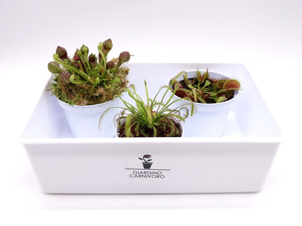 Vasca sottovaso bianca  30x20x10 h