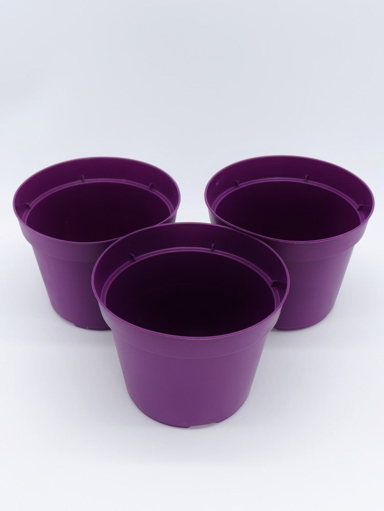 Vaso tondo diametro 14 cm Viola 3 pezzi