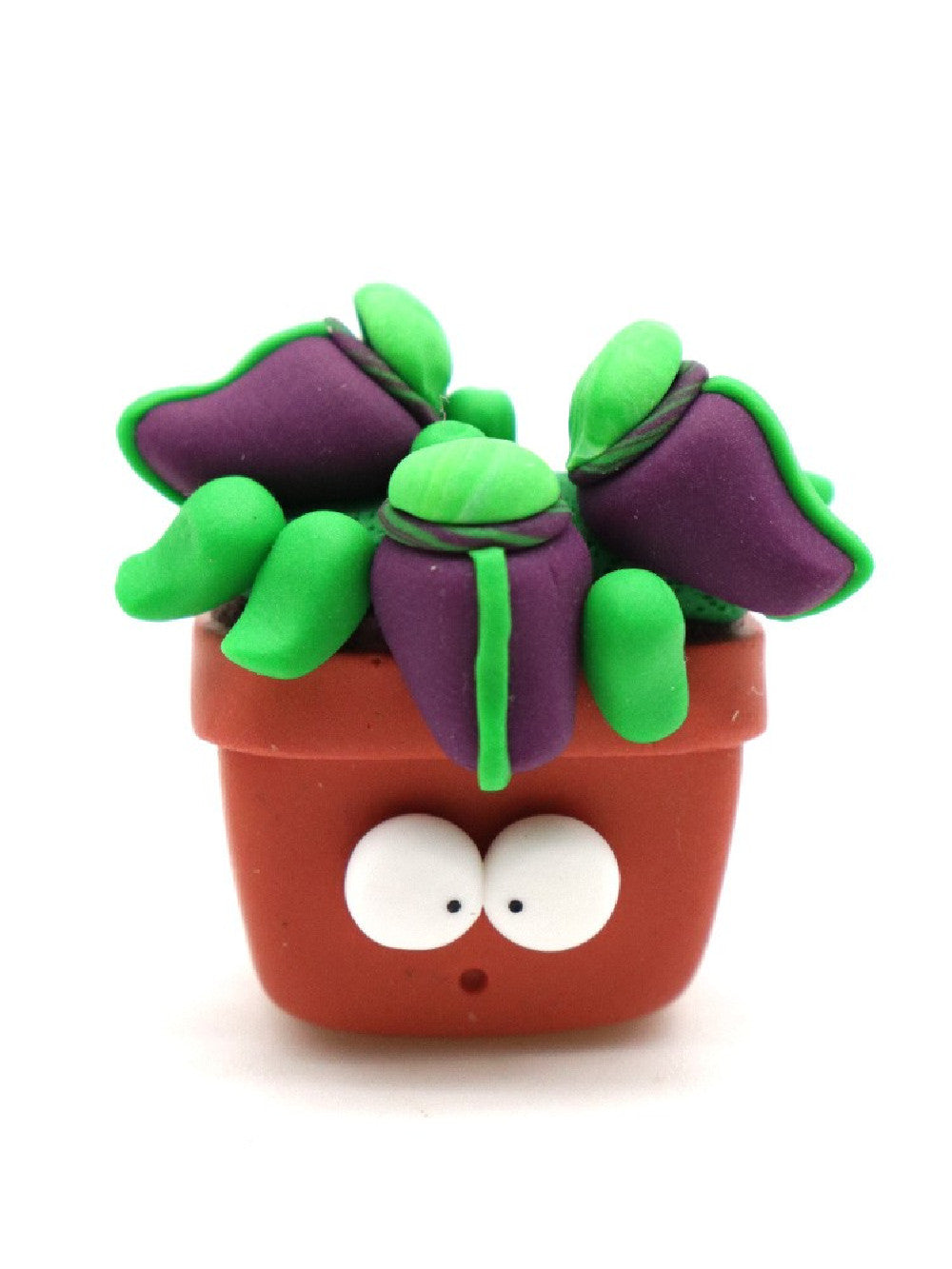 Cephalotus calamita Obesini