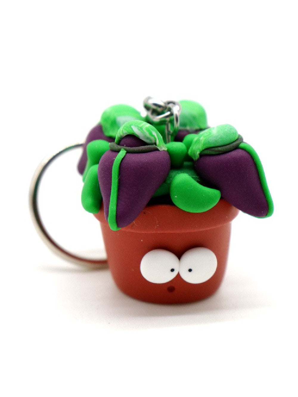 Cephalotus portachiavi Obesini