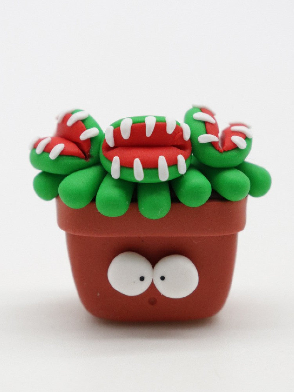 Dionaea calamita Obesini