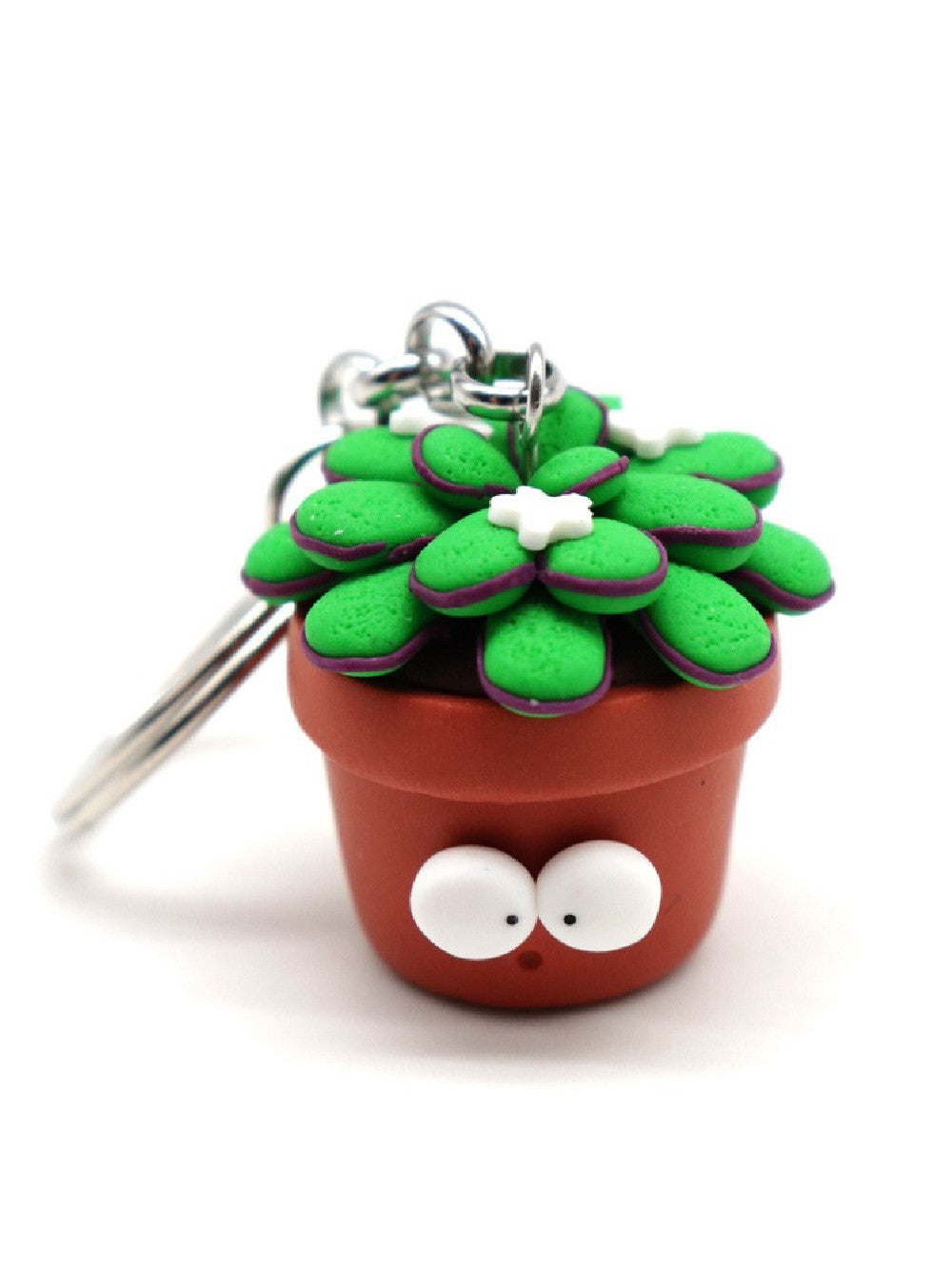 Drosera portachiavi Obesini