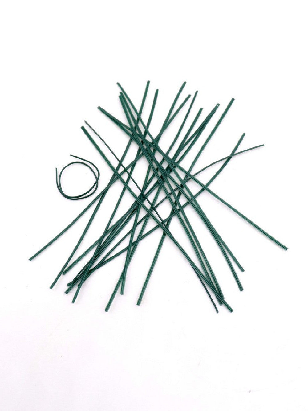 Filo metallico plastificato per fissare fiori ai paletti di sostegno 20 pz