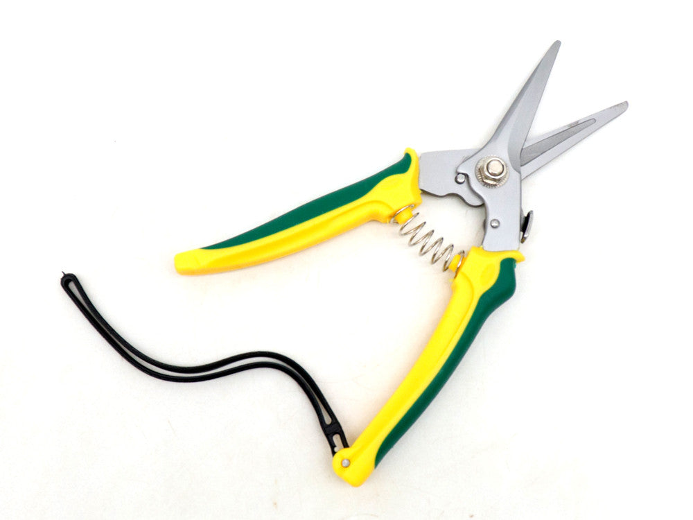 Forbice per potatura professionale