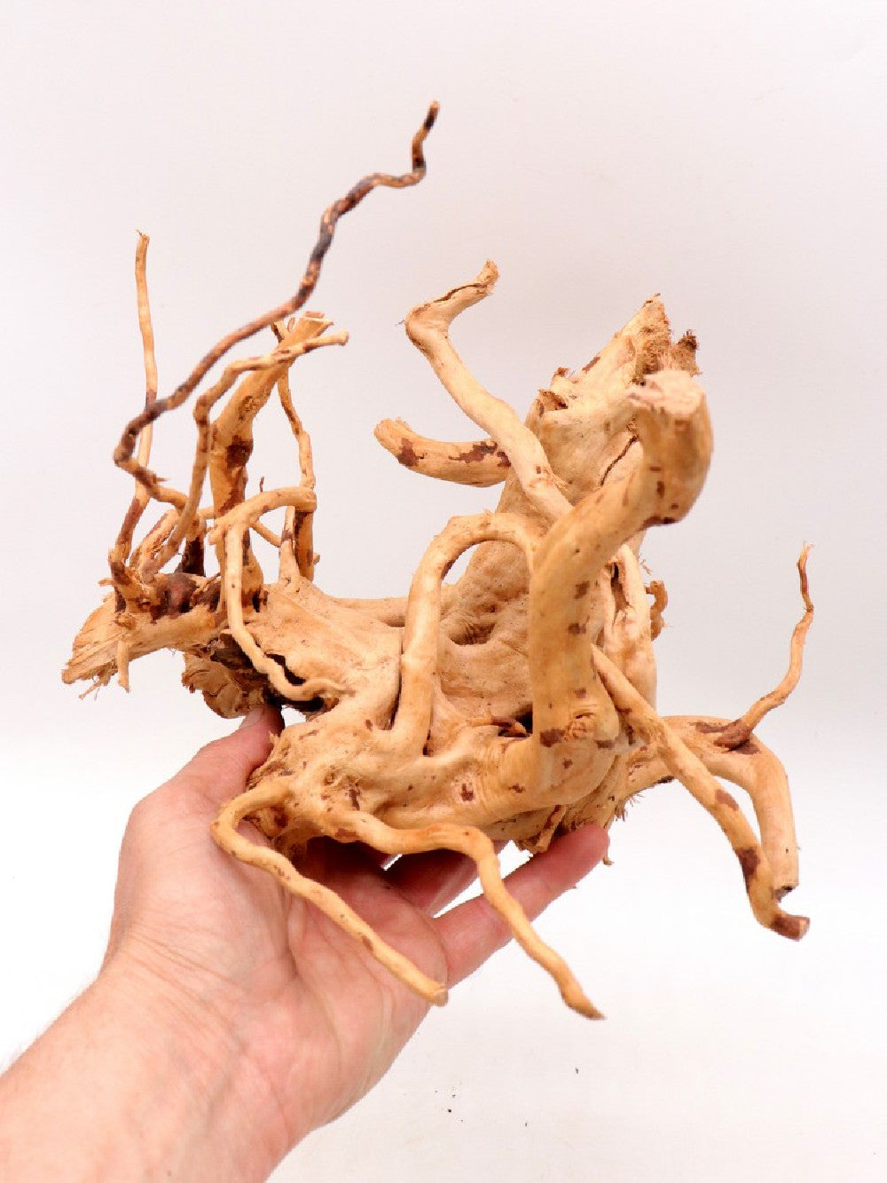 Legno Red wood 20-30 cm