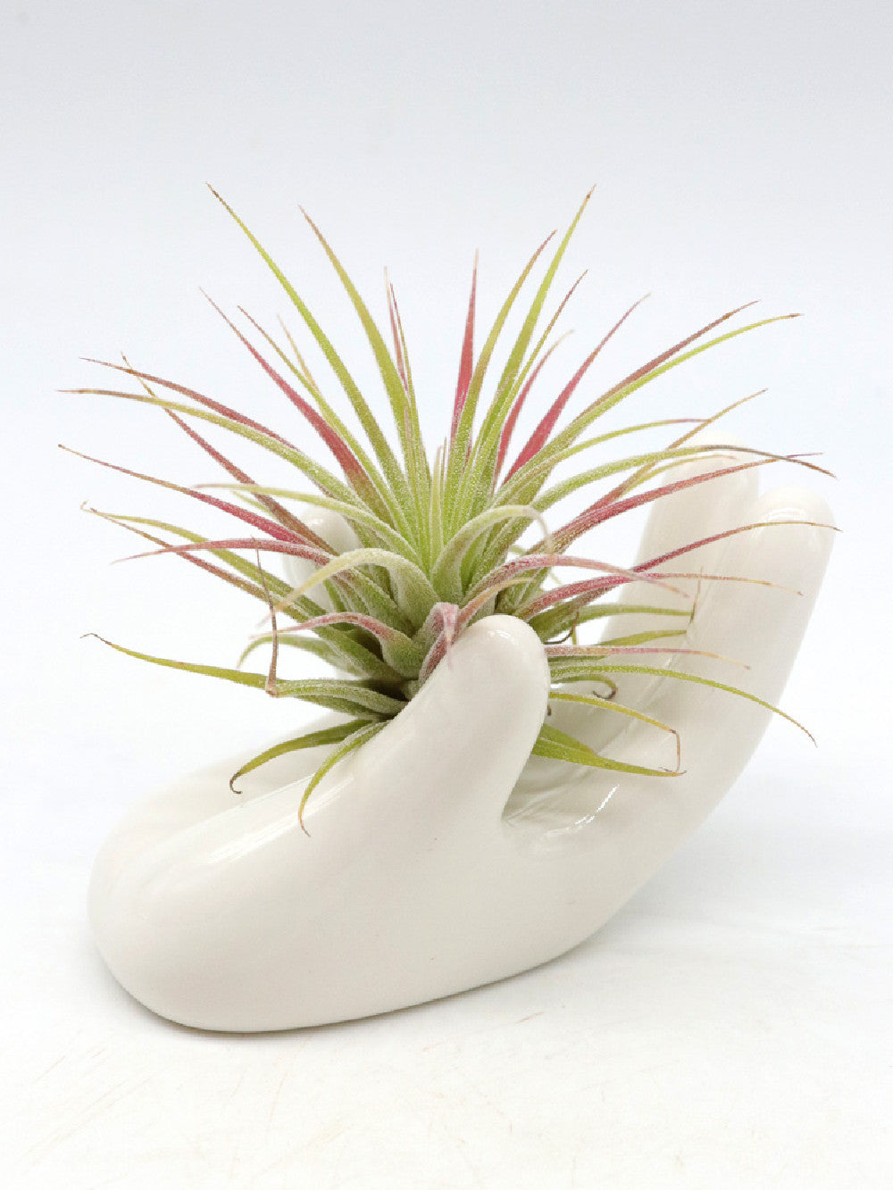 Mano in ceramica per supporto TILLANDSIA