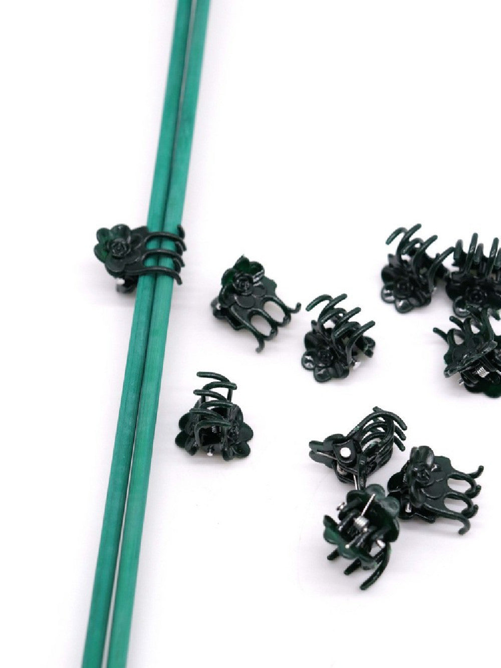 Mollette di sostegno per orchidee e fiori sarracenia 10 pz