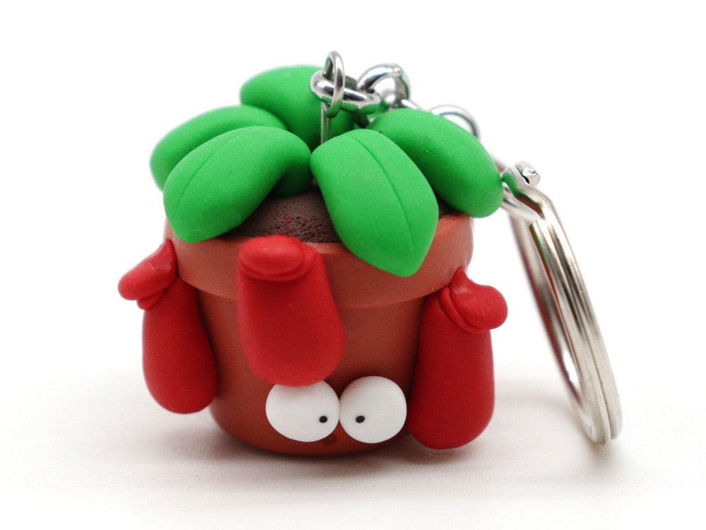 Nepenthes portachiavi Obesini