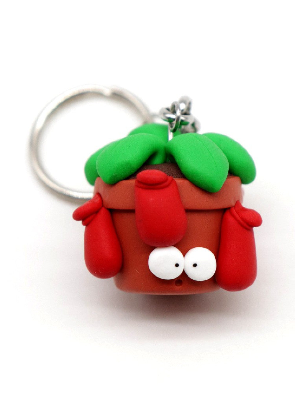 Nepenthes portachiavi Obesini