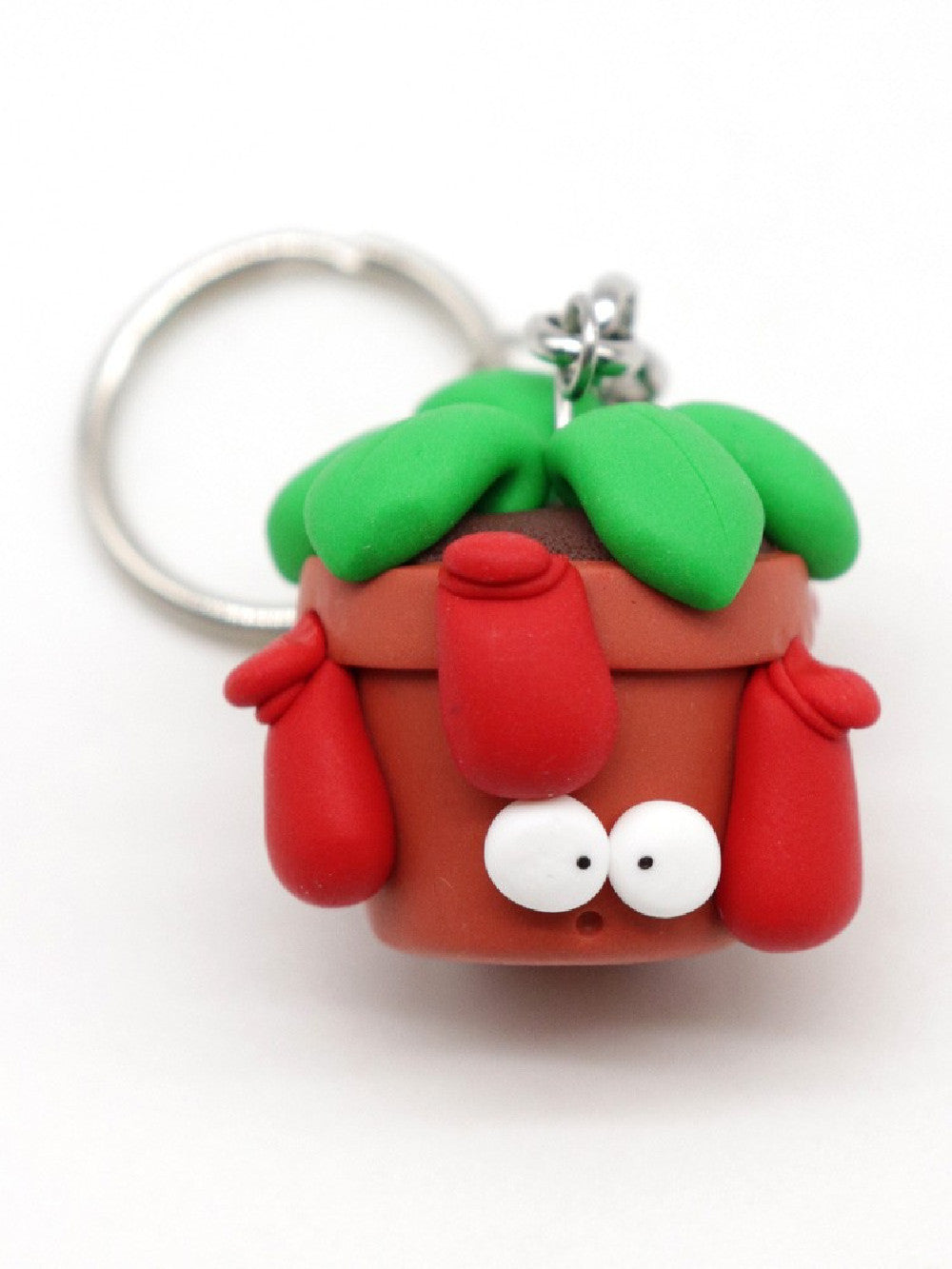 Nepenthes portachiavi Obesini