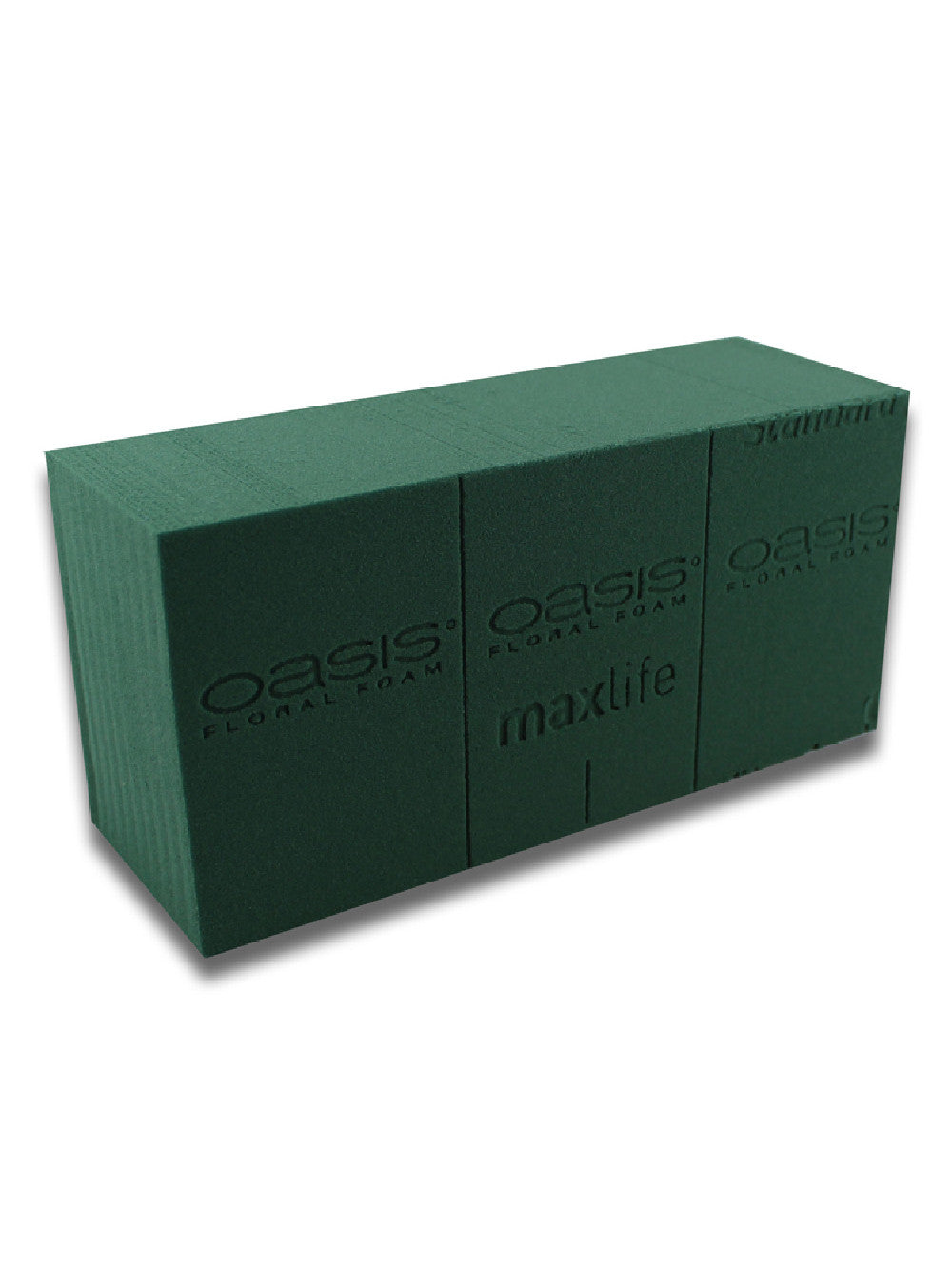 Spugna verde per fiori recisi