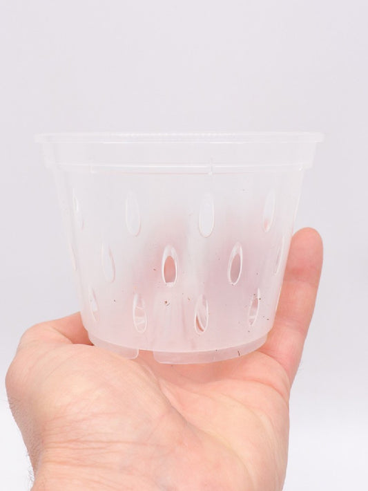 Vaso trasparente traforato 11cm x 8 h