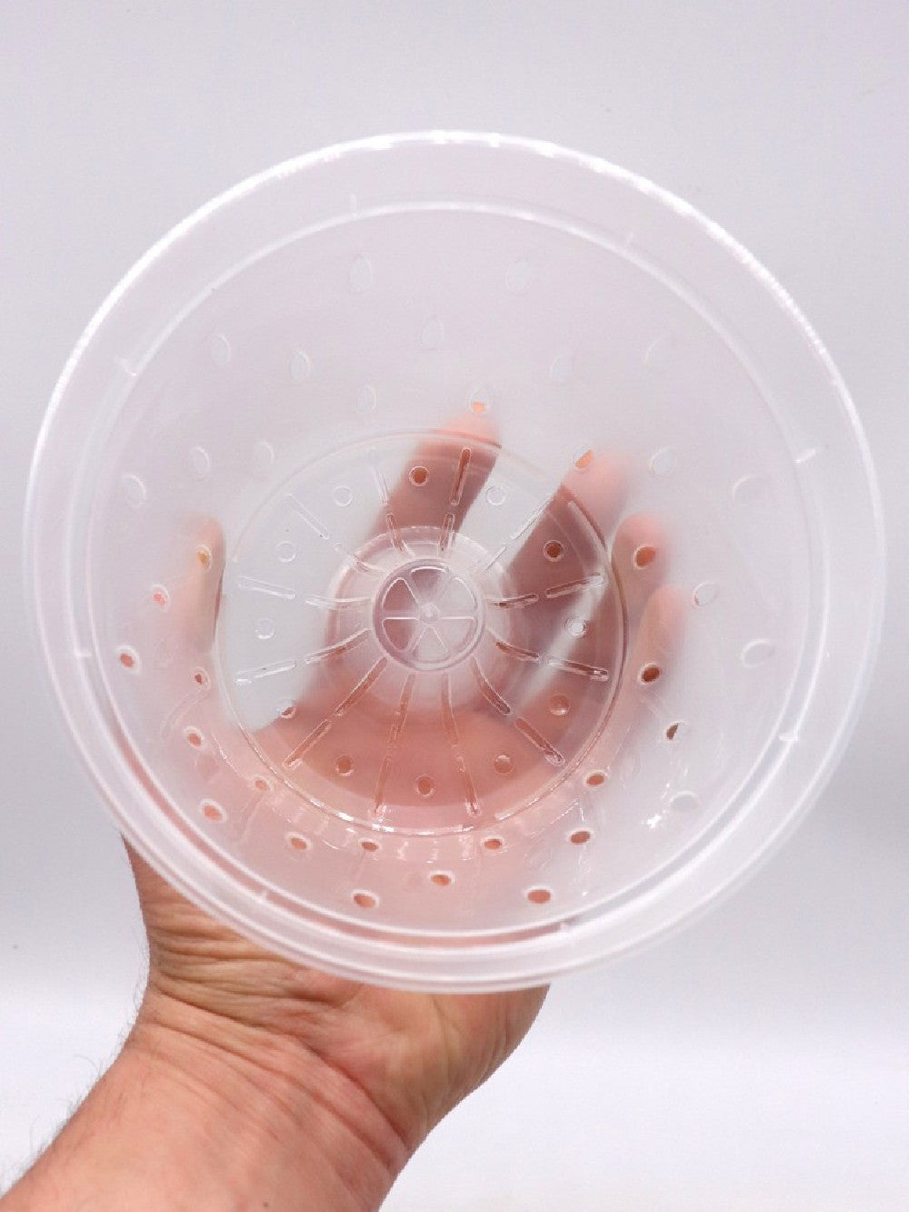 Vaso trasparente traforato 17 cm x 12 h