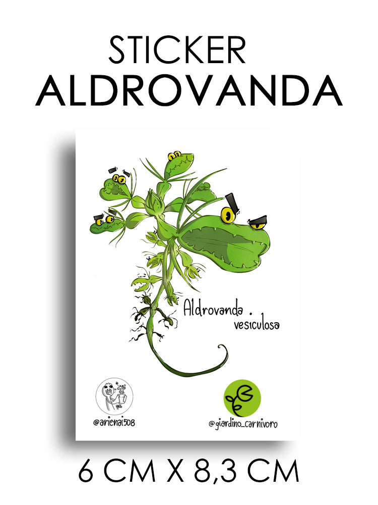 STICKER ALDROVANDA  6 CM X 8,3 CM