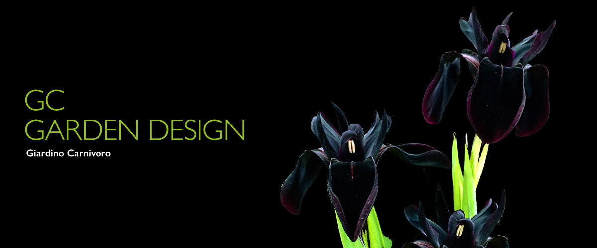 BANNER GARDEN DESIGN