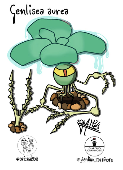 STICKER GENLISEA  6 CM X 8,3 CM