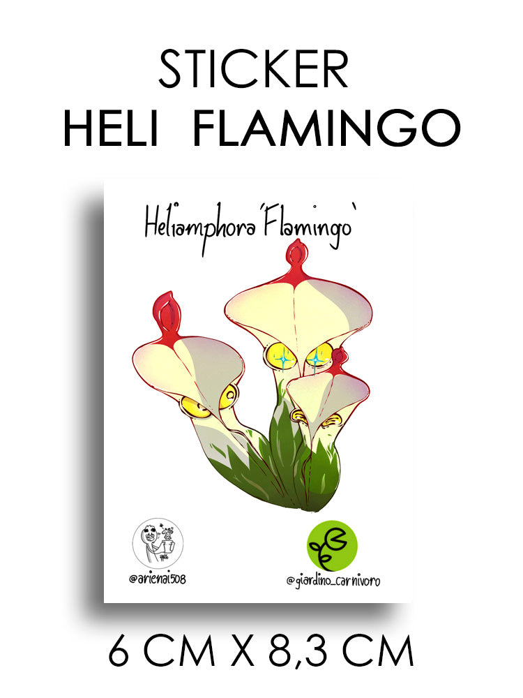 STICKER HELIAMPHORA FLAMINGO  6 CM X 8,3 CM