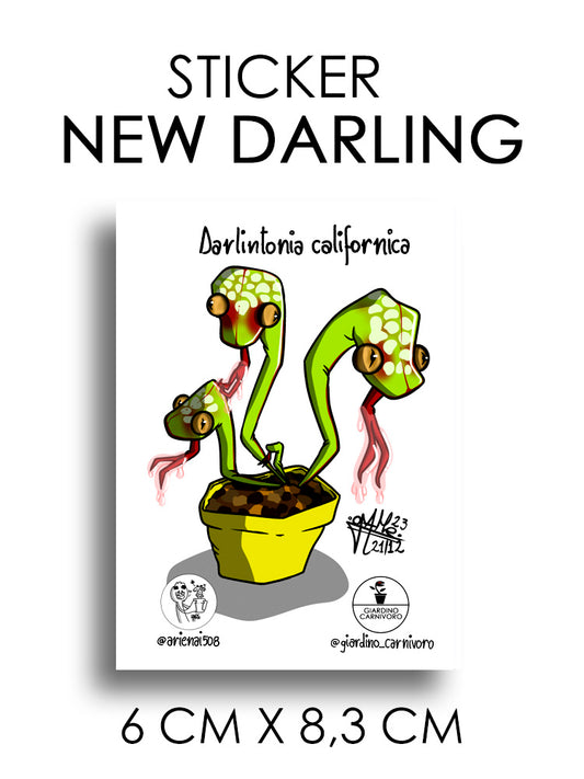 STICKER NEW DARLINGTONIA  6 CM X 8,3 CM
