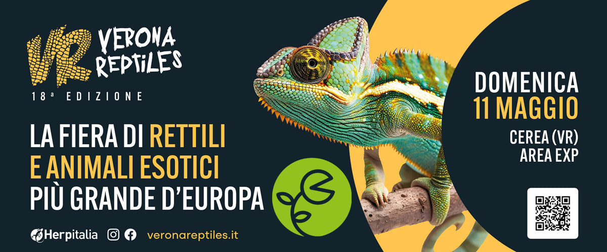 verona reptiles
