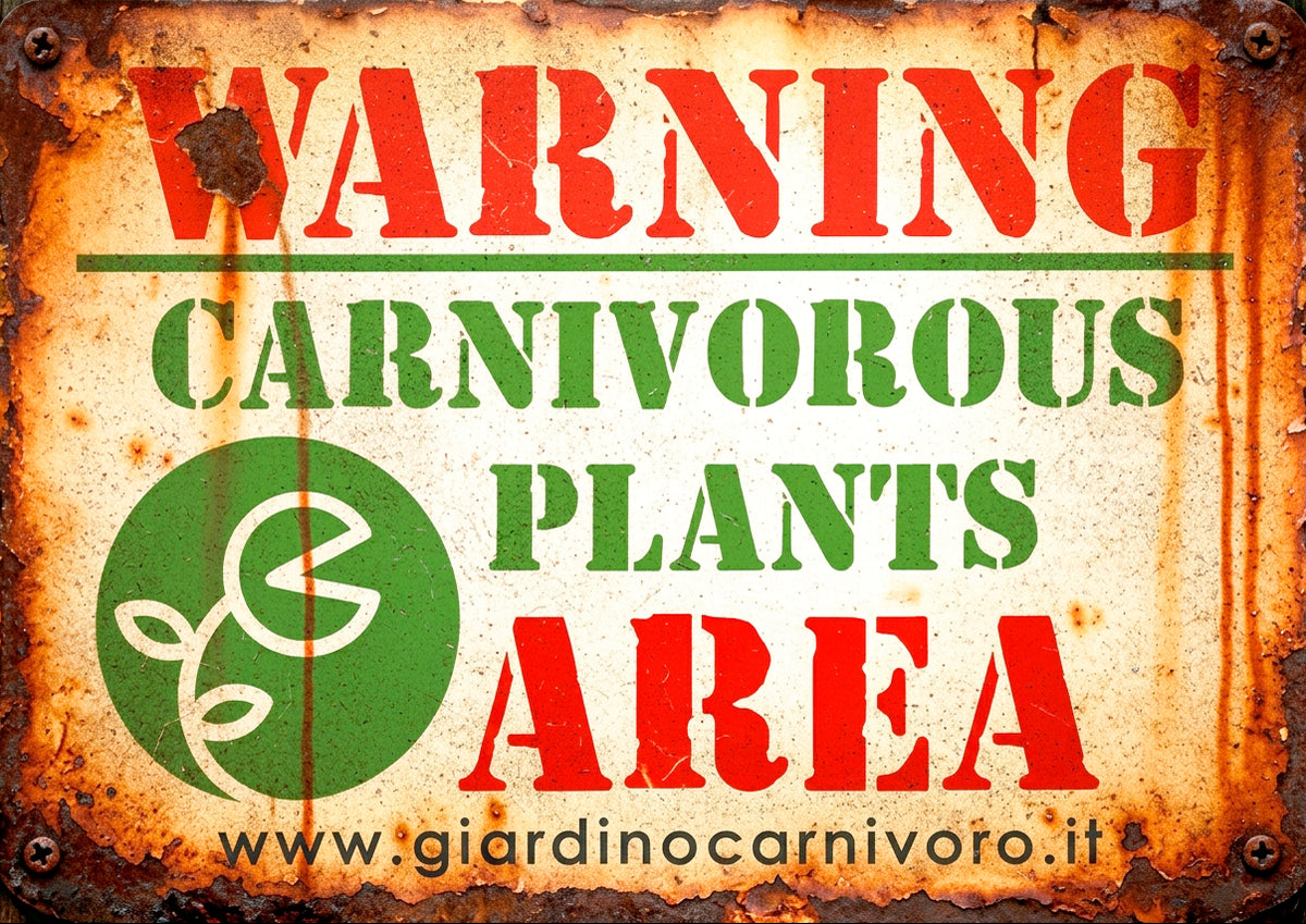 STICKER RUGGINE WARNING   14,8 cm x 21 cm