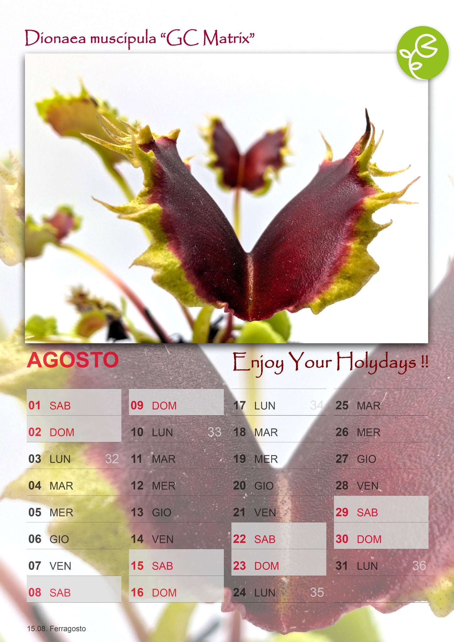 2026 GIARDINO CARNIVORO CALENDAR