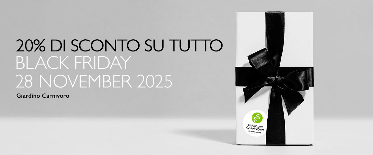 BANNER GARDEN DESIGN