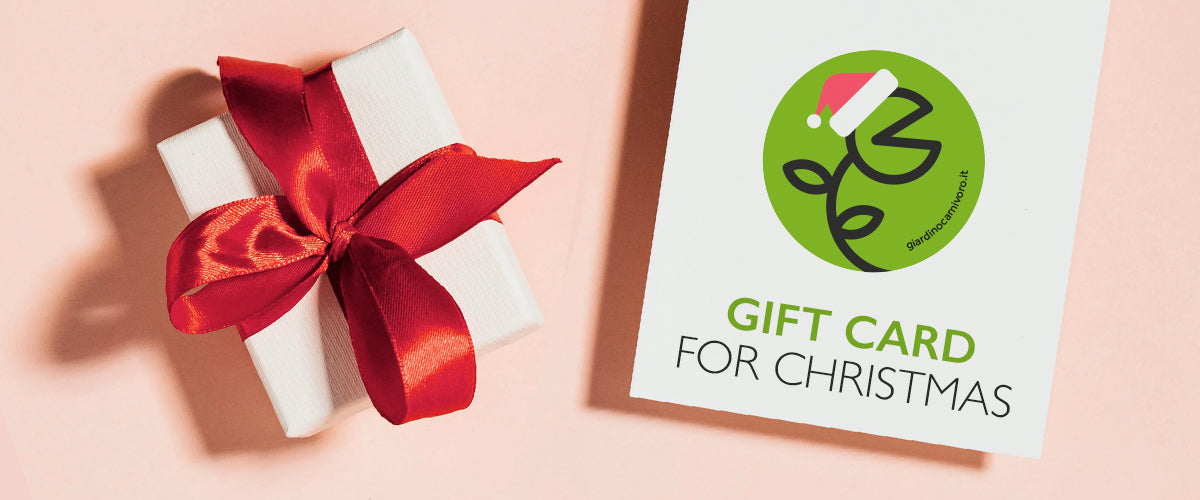 BANNER GARDEN DESIGN