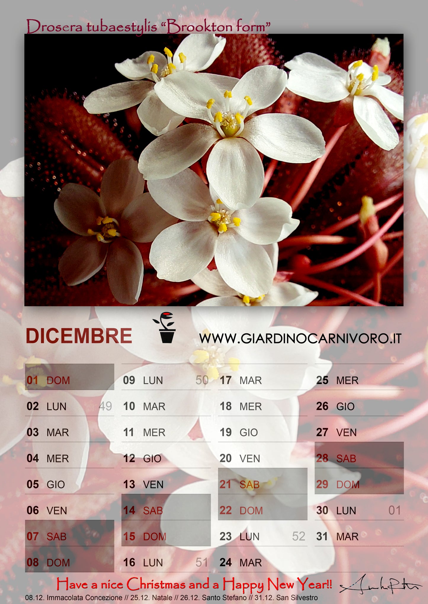 GC2024 Calendar