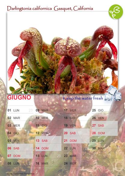 EXTRA CALENDARIO GIARDINO CARNIVORO 2026