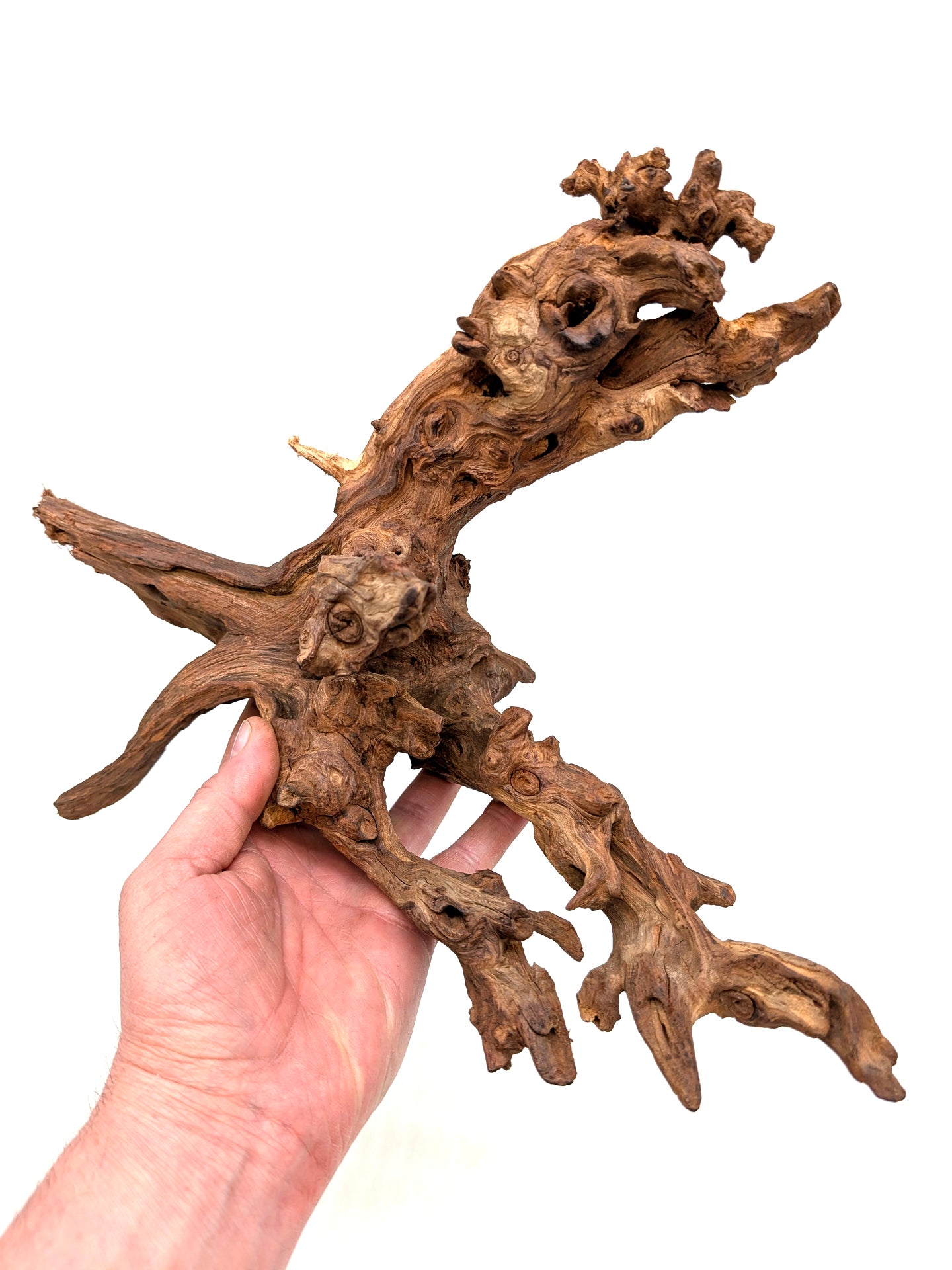 Amazon Wood for Terrariums and Aquariums