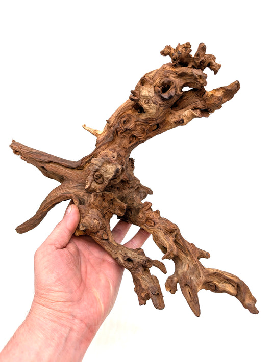 Amazon Wood for Terrariums and Aquariums