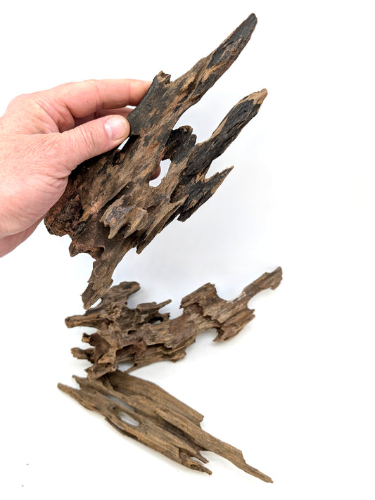 Honeycomb Wood for Terrariums and Aquariums