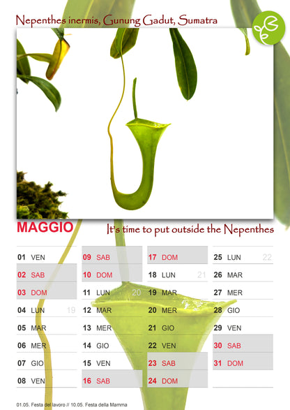 2026 GIARDINO CARNIVORO CALENDAR