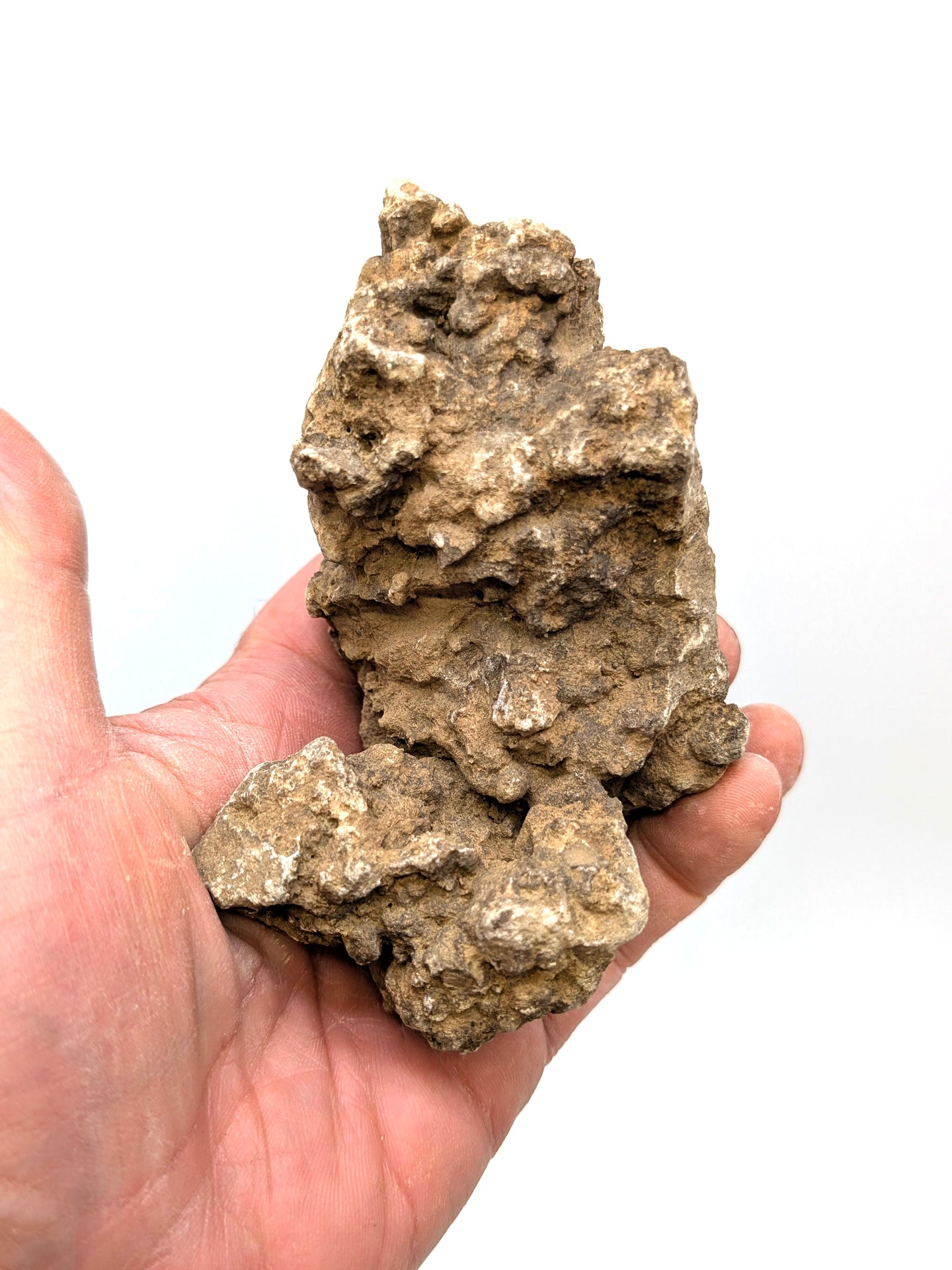Jang-Kalkfelsen
