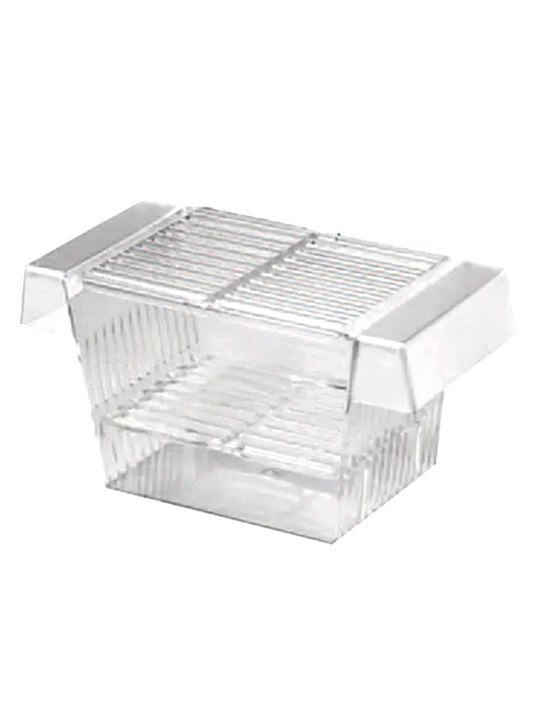 Floating container for aquatic utricularia and genlisea