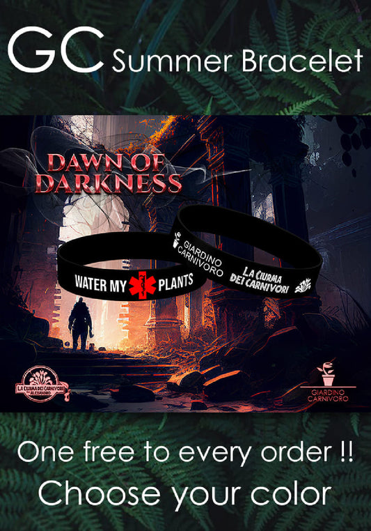 GC Summer Bracelet "Dawn of Darkness" ENG