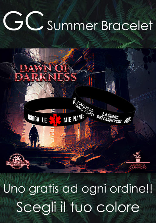 GC Summer Bracelet "Dawn of Darkness" ITA
