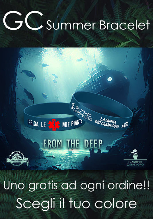 GC Summer Bracelet "FROM THE DEEP" ITA