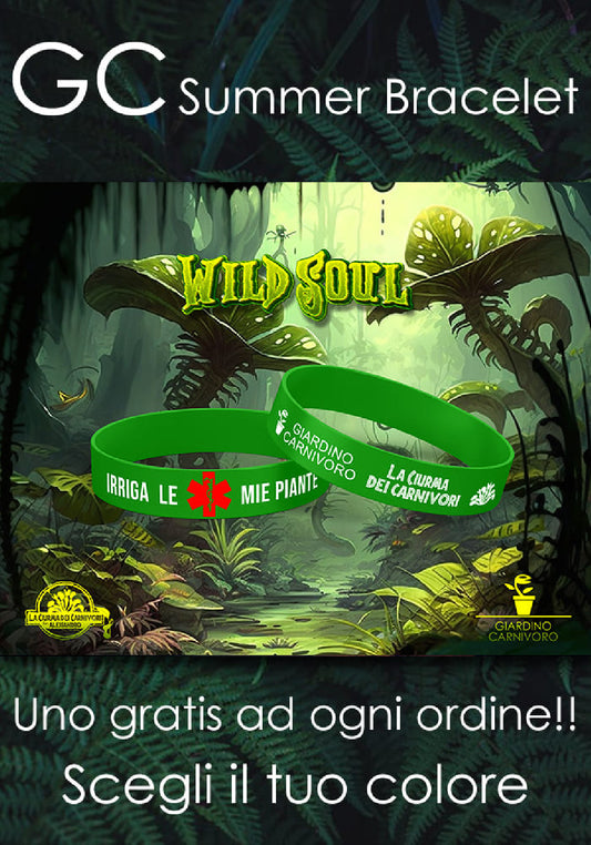 GC Summer Bracelet "WILD SOUL" ITA