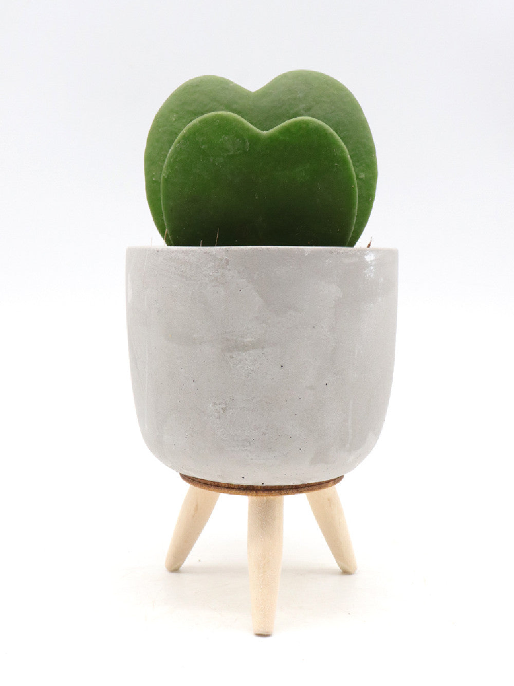 Vaso a forma di cuore umano decorazione per casa ornamento artigianale ufficio contenitore per fiori con design organo decorazione per camera letto | Leroy Merlin Vaso a forma di cuore umano decorazione per casa ornamento artigianale ufficio contenitore per fiori con design organo decorazione per camera letto | Leroy Merlin