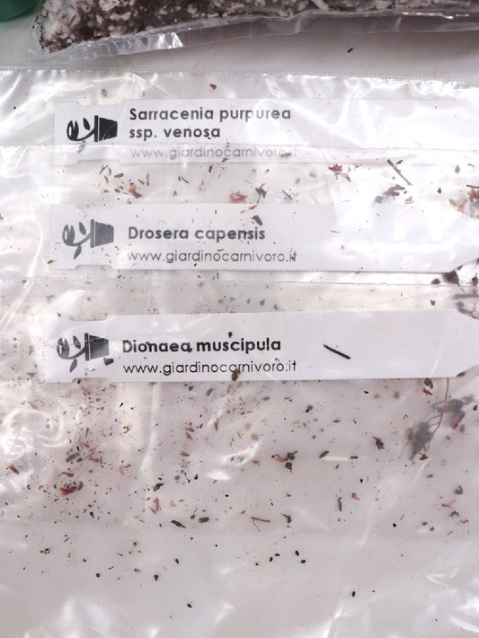 Kit semina principianti - 3 diverse piante carnivore