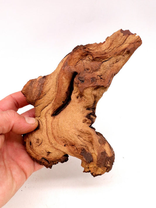 Legno Mopani 15-20 cm