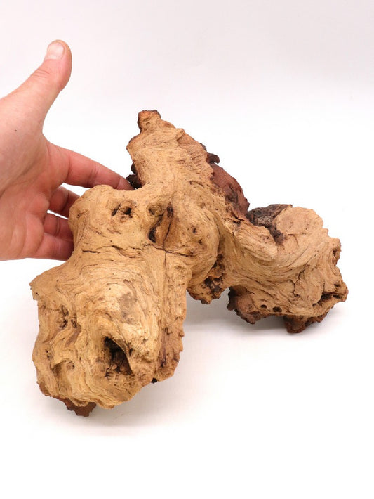 Legno Mopani 20-30 cm