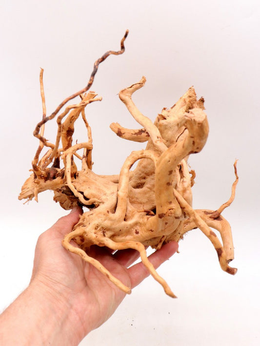 Legno Red wood 20-30 cm